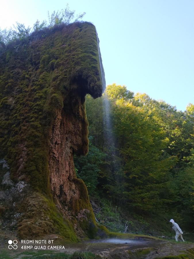 Vodenica Lug Bauernhof *