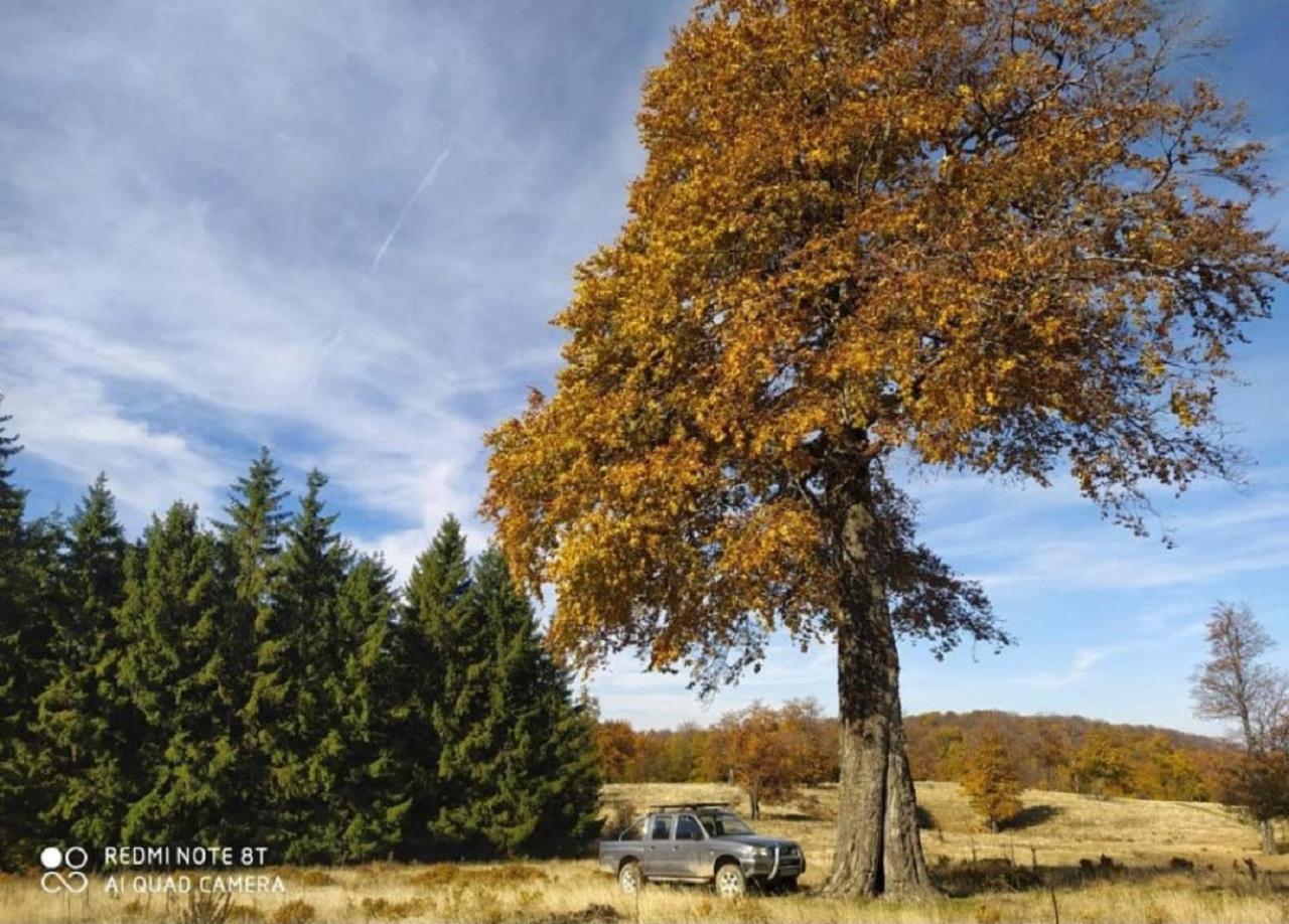 Vodenica Lug Bauernhof Strmosten
